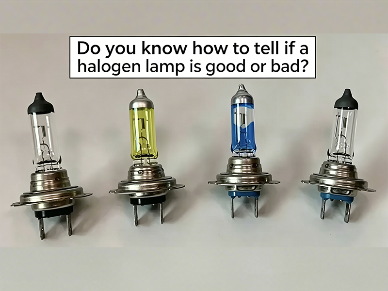 Comparison of High-Quality and Low-Quality Halogen Lamps.png